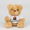 Bear in a t-shirt Thumbnail