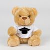 Bear in a t-shirt Thumbnail